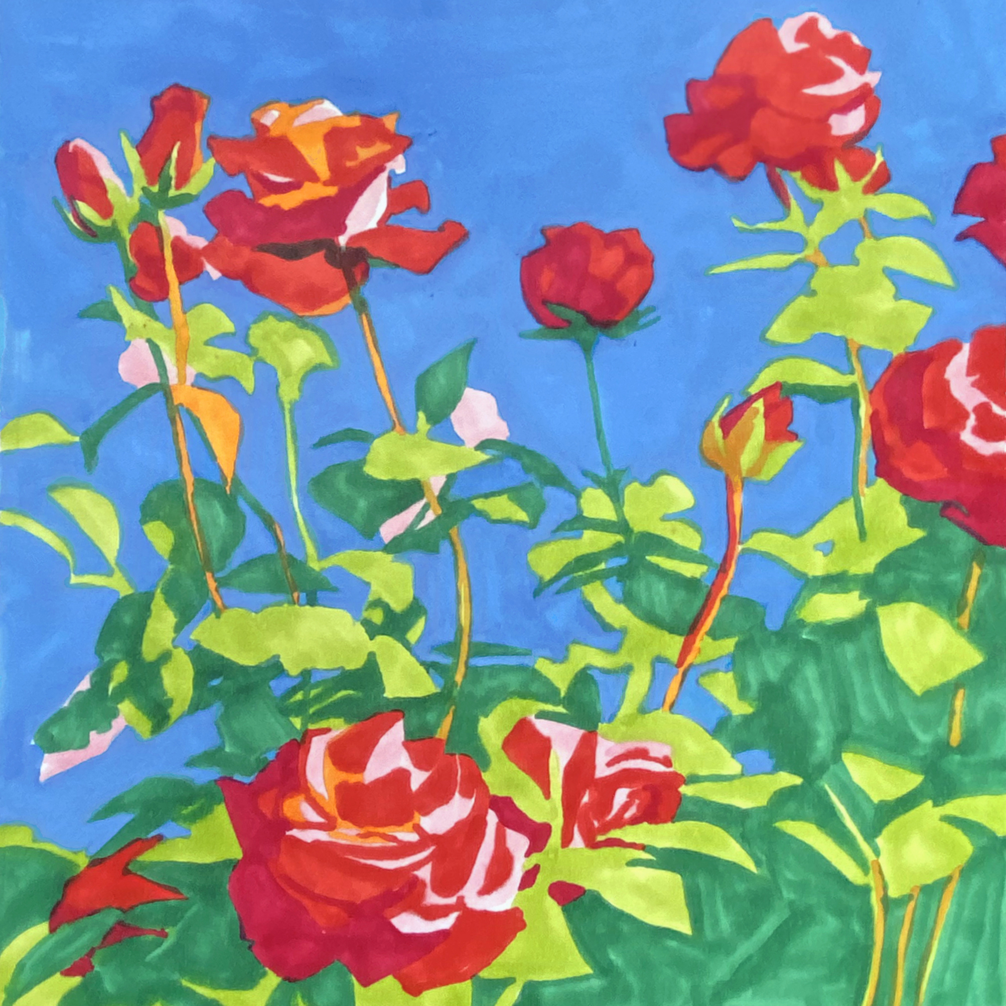 art portfolio